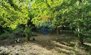 Venta Parcela Orilla Carretera Pucón Villarrica