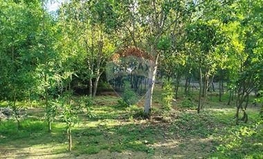 Venta Parcela Orilla Carretera Pucón Villarrica