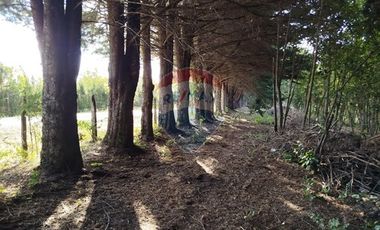 Venta Parcela Orilla Carretera Pucón Villarrica