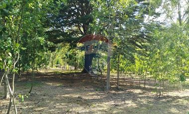 Venta Parcela Orilla Carretera Pucón Villarrica