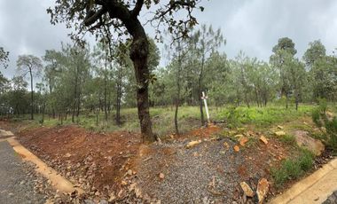 Venta Terreno en Coto Mazati Tapalpa
