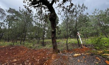 Venta Terreno en Coto Mazati Tapalpa
