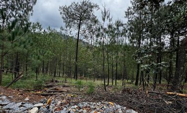 Venta Terreno en Coto Mazati Tapalpa