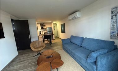 CASCO VIEJO / CASCO VIEW LIFE / 49M / 1 HABITACION / BALCON