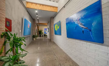 CASCO VIEJO / CASCO VIEW LIFE / 49M / 1 HABITACION / BALCON