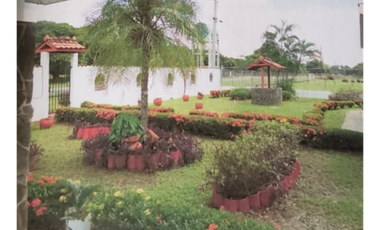 OL / COCLE / 1472 M / 3 HABITACION / 2 BAÑOS /  RIO CERCA / AG