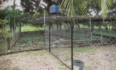 OL / COCLE / 1472 M / 3 HABITACION / 2 BAÑOS /  RIO CERCA / AG