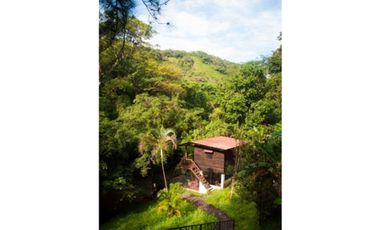 En alquiler- Casa y Cabañas en la Laguna de San Carlos