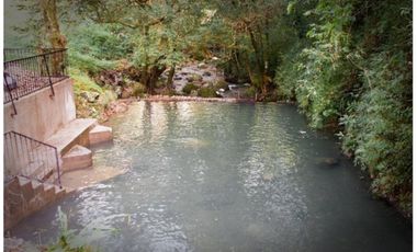 En alquiler- Casa y Cabañas en la Laguna de San Carlos