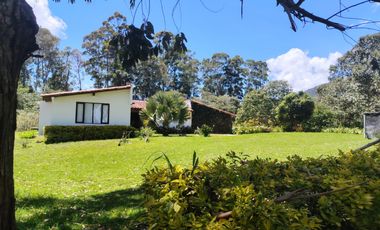 Casa En Arriendo El Canadá, El Carmen De Viboral -PARTNER-