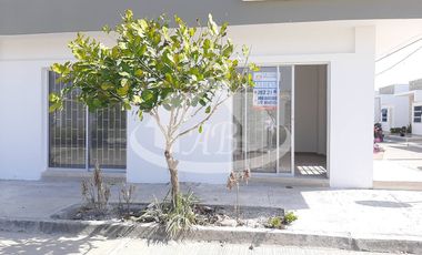 LOCAL EN ARRIENDO PARA ESTRENAR BARRIO VALLEJO |974