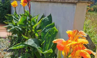 Casa Hotel En Venta En Vereda La Esperanza, Sonson -PARTNER-