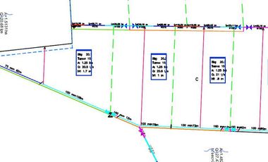 VENTA | Terreno 5 ha. con riego por goteo | titulo de propiedad