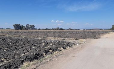 VENTA | Terreno 5 ha. con riego por goteo | titulo de propiedad