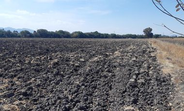 VENTA | Terreno 5 ha. con riego por goteo | titulo de propiedad