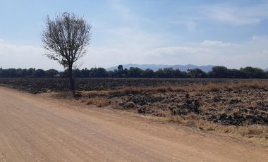 VENTA | Terreno 5 ha. con riego por goteo | titulo de propiedad