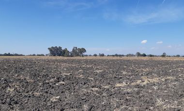 VENTA | Terreno 5 ha. con riego por goteo | titulo de propiedad