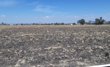 VENTA | Terreno 5 ha. con riego por goteo | titulo de propiedad