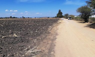 VENTA | Terreno 5 ha. con riego por goteo | titulo de propiedad