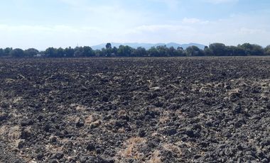 VENTA | Terreno 5 ha. con riego por goteo | titulo de propiedad