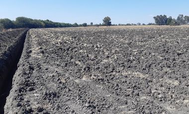 VENTA | Terreno 5 ha. con riego por goteo | titulo de propiedad