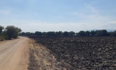 VENTA | Terreno 5 ha. con riego por goteo | titulo de propiedad