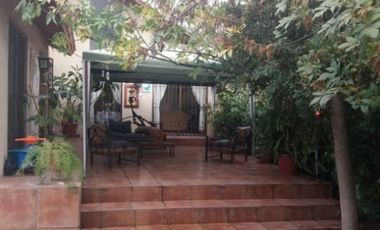 BALMACEDA Y LAS PALMERAS