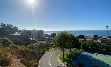 ALGARROBO CENTRO