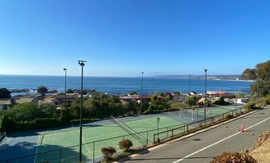 ALGARROBO CENTRO
