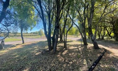 Parcela en Arriendo en Curacautín