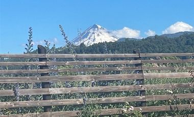 Parcela en Arriendo en Curacautín