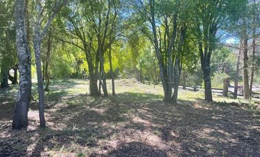 Parcela en Arriendo en Curacautín