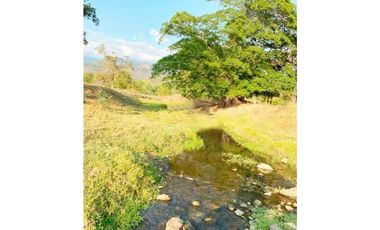 IMPRESIONANTE RANCHO EN MANUEL AVILA CAMACHO - TONAL