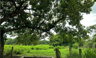 IMPRESIONANTE RANCHO EN MANUEL AVILA CAMACHO - TONAL