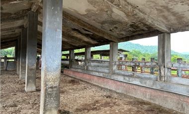 IMPRESIONANTE RANCHO EN MANUEL AVILA CAMACHO - TONAL