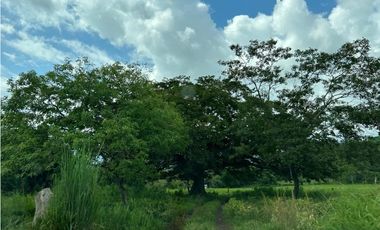 IMPRESIONANTE RANCHO EN MANUEL AVILA CAMACHO - TONAL