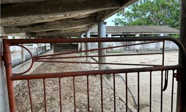 IMPRESIONANTE RANCHO EN MANUEL AVILA CAMACHO - TONAL