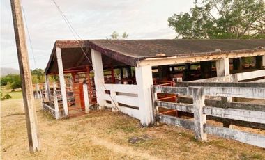 IMPRESIONANTE RANCHO EN MANUEL AVILA CAMACHO - TONAL