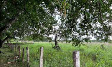 IMPRESIONANTE RANCHO EN MANUEL AVILA CAMACHO - TONAL