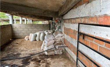 IMPRESIONANTE RANCHO EN MANUEL AVILA CAMACHO - TONAL