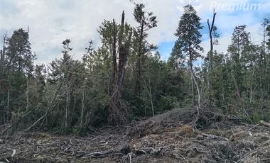 Parcela en Venta en Las Chilcas Lote 43