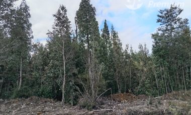 Parcela en Venta en Las Chilcas Lote 43