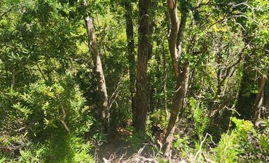 Parcela en Venta en Valle de Atacalco