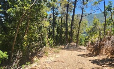 Parcela en Venta en Valle de Atacalco