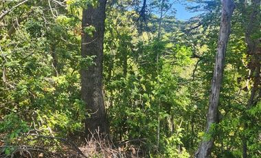 Parcela en Venta en Valle de Atacalco