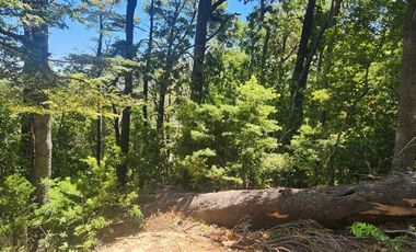 Parcela en Venta en Valle de Atacalco