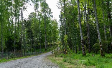 Venta Parcela Villarrica Ñancul