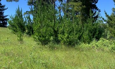 Venta Parcela Villarrica Ñancul