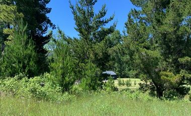 Venta Parcela Villarrica Ñancul