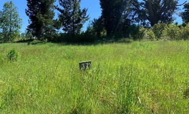 Venta Parcela Villarrica Ñancul